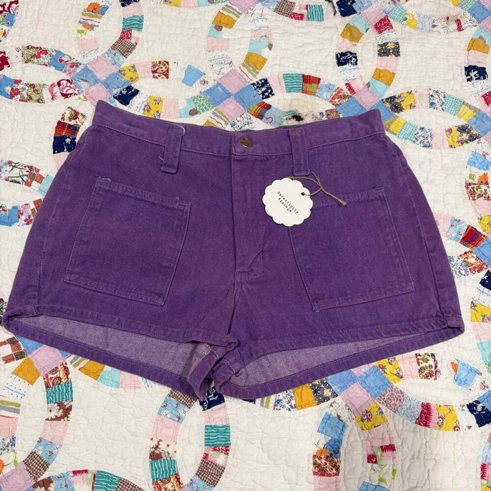 Vintage Purple Wrangler Shorts size 28" waist USA made